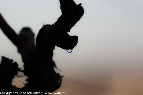 Sky-_MG_2496