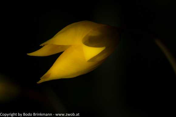 Sky-_MG_2910