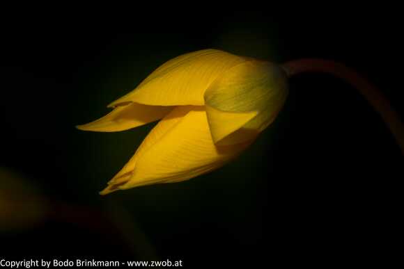 Sky-_MG_2905