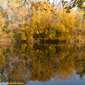 Sky-IMG_8009