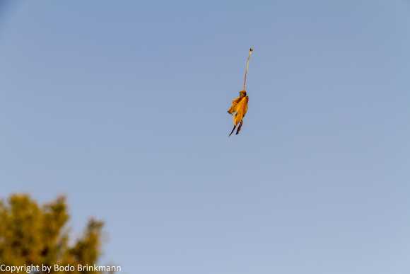 Sky-IMG_7575