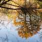 Sky-IMG_7967