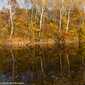 Sky-IMG_7974