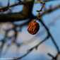 Sky-IMG_9705