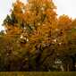Sky-IMG_7832