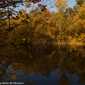 Sky-IMG_8021