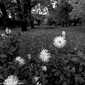 Sky-IMG_7848