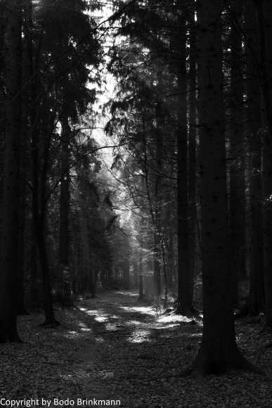 Sky-IMG_9577