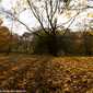 Sky-IMG_7962