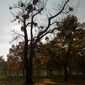 Sky-IMG_7906